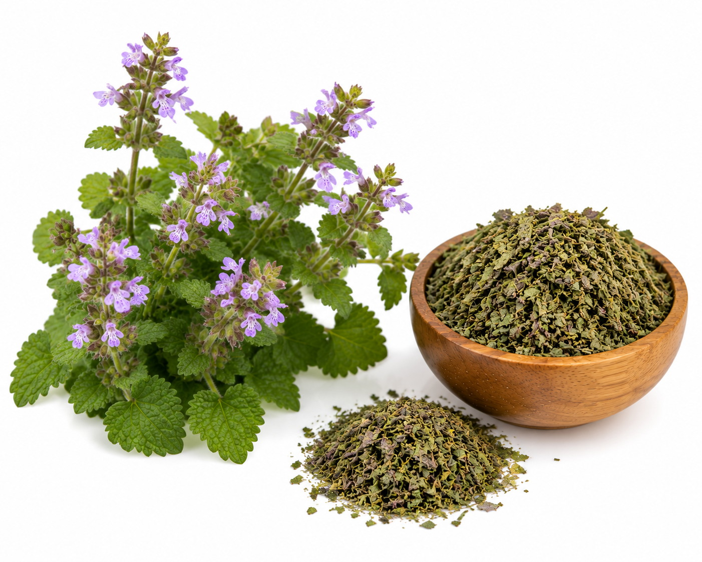 گیاه هزار چشمه